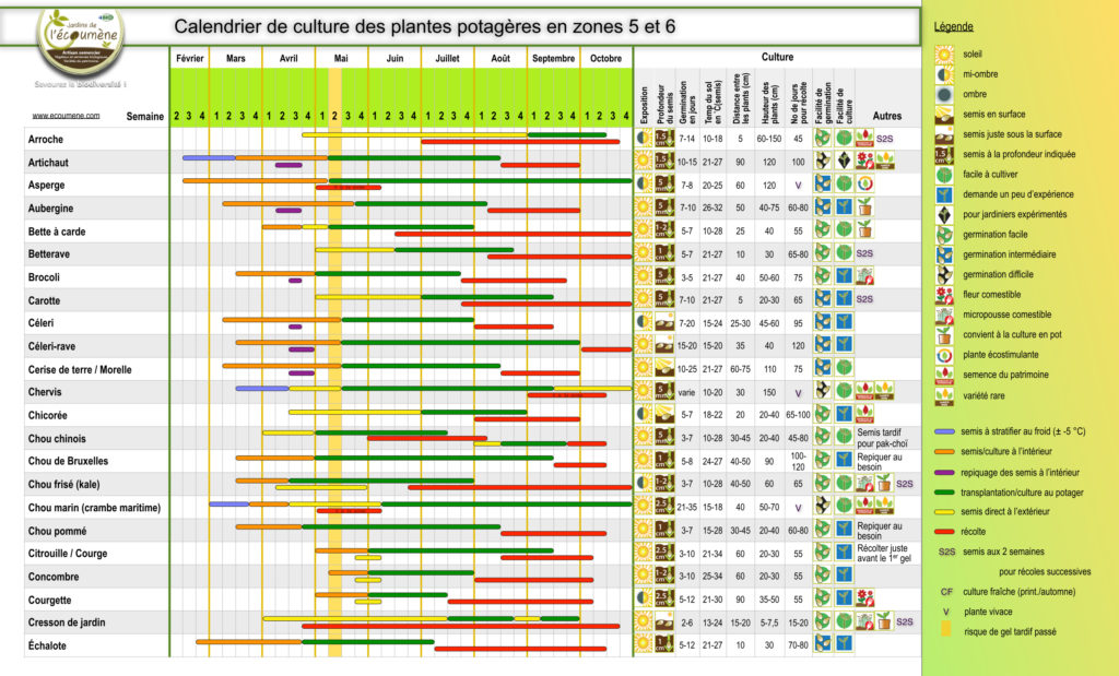 Calendrier de culture des plantes potagères en zone 5 et 6